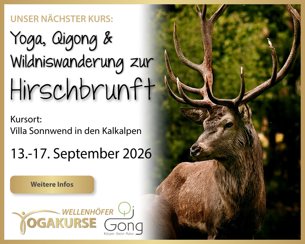 Hirschbrunftwanderung